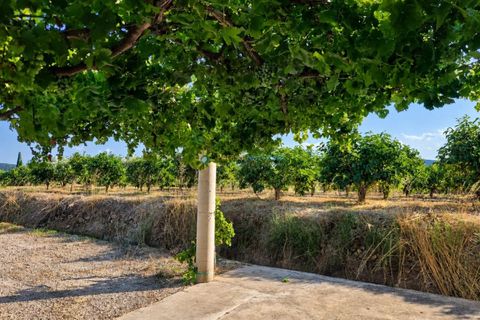 Casa de campo en Cotes, Valencia, Cotes - € 82.000 | Ref: PNVL2184 - photo 14